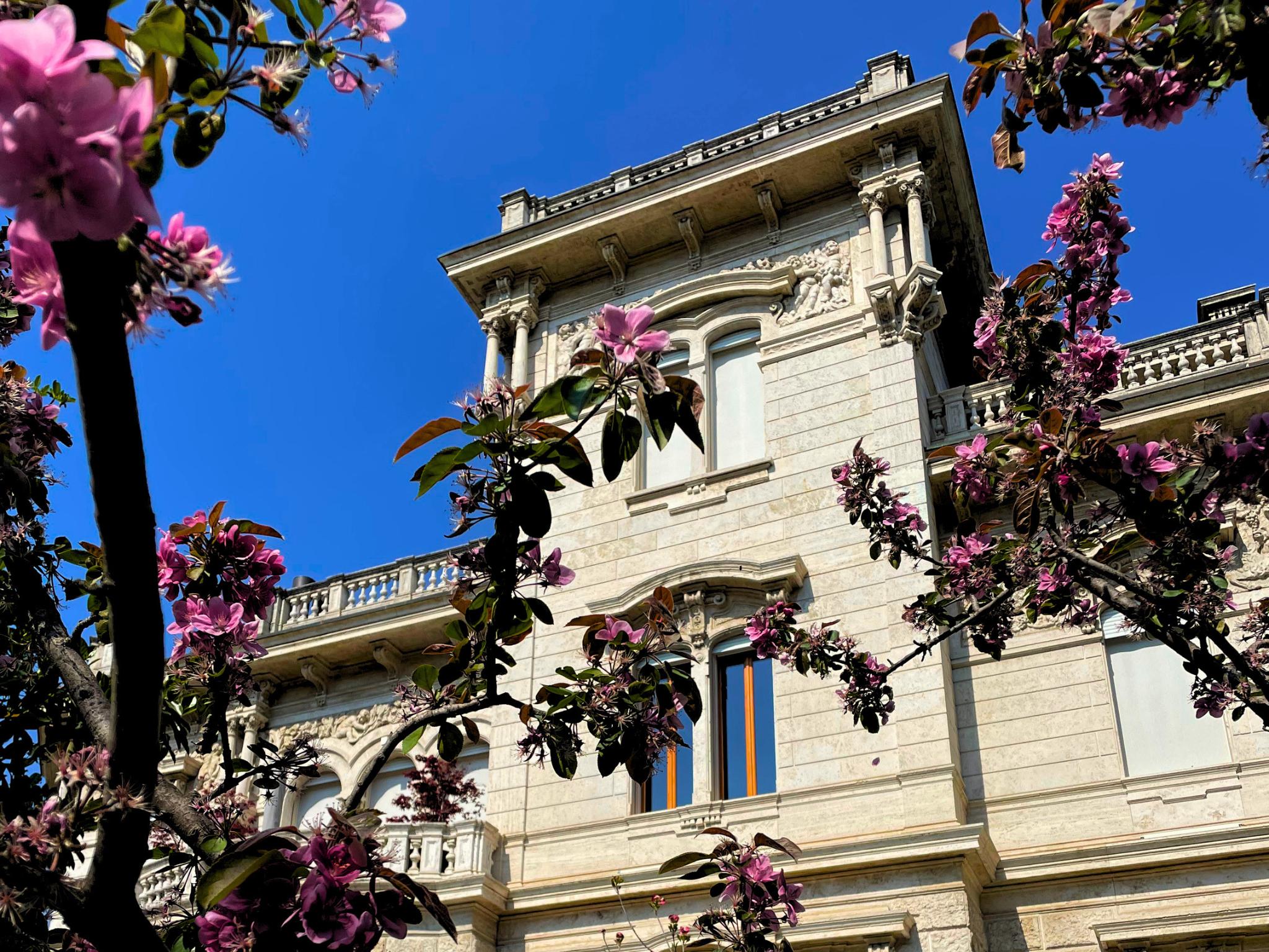 Vista della Villa in mezzo ai fiori del suo giardino